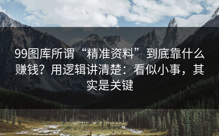 99图库所谓“精准资料”到底靠什么赚钱？用逻辑讲清楚：看似小事，其实是关键