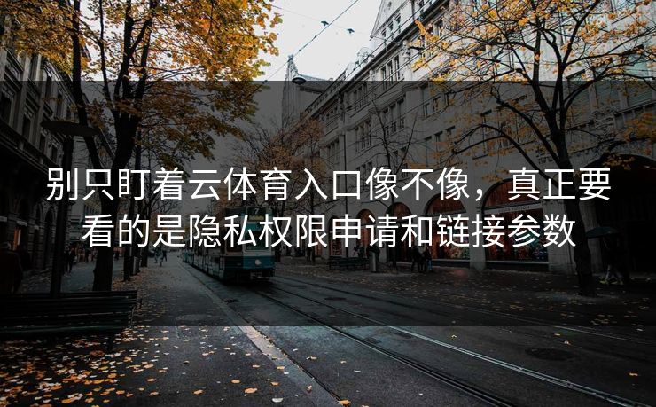别只盯着云体育入口像不像，真正要看的是隐私权限申请和链接参数